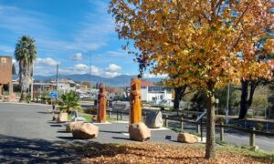 Memorial Corryong Avenue of Honour