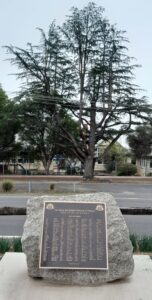 Memorial Plaque on granite rock, Corryong Avenue of Honuor. Deodar Cedar and Corryong Primary School in background.