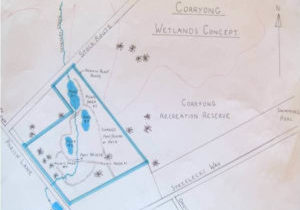 Corryong Wetlands Proposed Plan